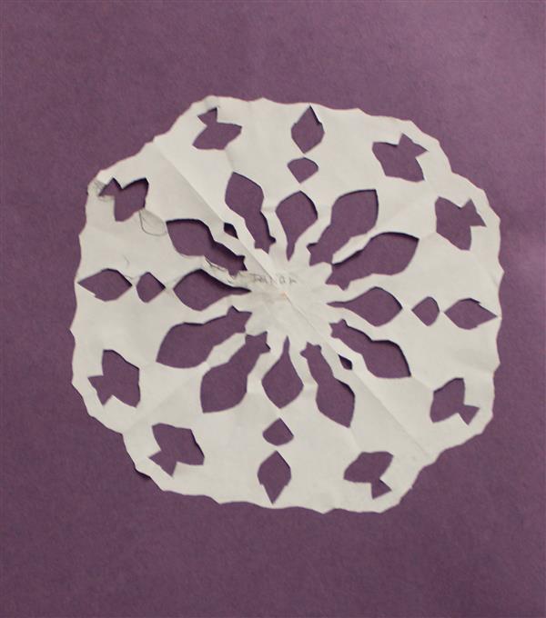 Snow Flake 1